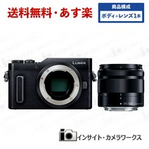 [특가・내일락] Panasonic LUMIX 미러리스 카메라 미러리스 일안 카메라 DC-GF10(DC-GF90) 바디 블랙 + 망원 줌 렌즈 세트 LUMIX G VARIO 35-100mmF4.0-5.6 ASPH.MEGA O.I.S H-FS35100 -K 블랙 입학식