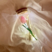 [프렌치로즈]6타입 LED 코르크 유리병 기념일 선물 꽃 편지지 세트, 핑크튤립