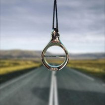 자동차 방향제 벤츠 BMW 제네시스 디퓨저, 블랙베리앤베이, 1개