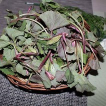 국내산 노지머위순4kg/머위나물/봄나물/자연대로팜웨이, 노지머위4kg