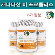 100% 캐나다 산 비 프로폴리스 캡슐 고함량 플라보노이드 17mg함유 식약처 기능성 인정 건강기능식품 비프로폴리스 BEE propolis 캐나다직구 항산화물질 항산화에 도움 환절기 황사철 구강 건강 추천 대용량, 3병, 60캡슐
