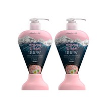 죽염 히말라야 핑크솔트 담은 펌핑 치약 플로럴민트 285g 2개, 단품
