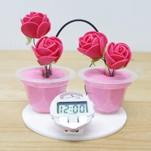 밀가루전지 시계만들기(5인)-KTS