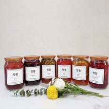 잇청 수제청 과일청 500ml 6종, 자몽청