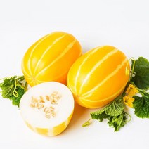 신선코리아 성주참외 산지직송 못난이 가정용 고급 선물용 황금참외 1kg 2kg 5kg 10kg, 선물용 고급품, 8kg