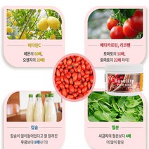 관절연골 덴마크산 덴마크 로즈힙 퓨레 파우더 200g, 1개