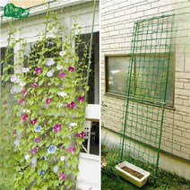 단호박 덩굴 지지대 수세미 오이 포도 녹라 등반 그물, 폭80cmx길이180cm의등반