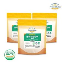 해썹인증 분리유청단백분말 WPI 400g 3팩, 분리유청단백질 400g 3팩, 1