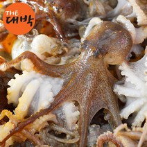 국내산 활 주꾸미 1kg 봄 쭈꾸미 서해안 제철 알배기