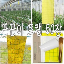 초파리 끈끈이트랩 50장 양면 날파리 뿌리파리 하우스