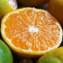 산지직송 새콤달콤 고당도 제주 감귤 4.5kg(2S~M)혼합과, 단품