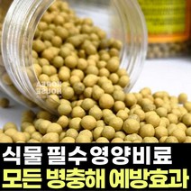 난초 영양제 화분 알갱이영양제 식물 성장 촉진제 원예용 고형 고체 난 알갱이 비료 알비료, 1개