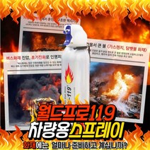 차량용 비상 소화기 자동차 간이소화기 거치대포함, 실버