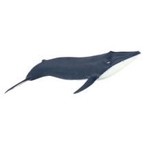 유아 동물인형 아기 흰긴수염고래 동물학습 유아장난감 모형완구