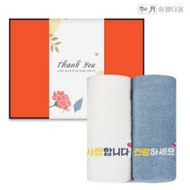 송월타올 가정의달 스승의날 수건선물세트 2P+감사장, 아이보리+스카이블루