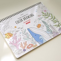 어른색칠공부 컬러링도안 성인 시니어 컬러링북 치매예방