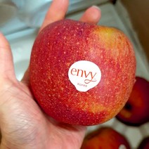 [산지직송]고당도 코스트코 예산 엔비사과 양주별 세척 홍옥 봉화 사과 털보네 감홍 양구 제이블릭, 2.5kg 대과(300g 이상)