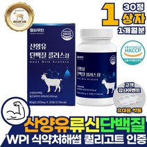 류신 산양유 단백질 WPI 보충제 1개월분 정 알약 타블렛 밀크파우더 퀄리고트 식약처 인증 분리유청단백 베타카제인 유청분말 엽산 비타민 B1 B2 B3 A C E 남자 남성 아버지 어르신