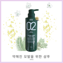[ 정 품 ] 아모스 녹차실감 산뜻한타입 지성 모발용 샴푸 500g 1개