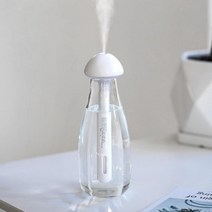 미니가습기 USB 사무실 탁상용 비염 세척편한 세척쉬운 휴대용