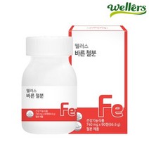 웰러스 바른 철분 740MG 90정 청소년 성인 여성 임산부