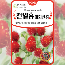 주주씨앗 천일홍 꽃 씨앗 100립 꽃씨 봄 여름 가을 겨울 파종 절화용, 2.천일홍대화선홍색 100립