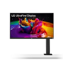 LG전자 LG 32UN880-B 32인치 UHD 4K IPS 디스플레이 블랙 정품보장, 단일