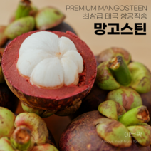 이브팜 생망고스틴 태국항공직송 로얄과, 500g