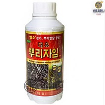 뿌리발근제500ml - 배추 고추 뿌리활착 뿌리발근제 비료 식물영양제 모두싹, 뿌리자임500ml 1병