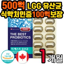 식약처인증 베스트 프로바이오틱스 유산균 식물성 캡슐 NCFM 락토바실러스 람노스 예민한 장 어머니 아버지 할머니 할아버지 40대 50대 60대 70대 남자 여자 남성 여성 직구