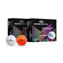 스타일닥터 STYLE DR 골프용품 로스트볼 골프공 골프 40P, 화이트20+오렌지20