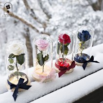 미녀와야수 장미꽃잎버전 유리돔램프 무드등 (4color), 레드