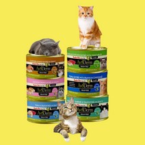 아보덤 주식캔 고양이 습식사료 그레인프리 85g, 연어&치킨