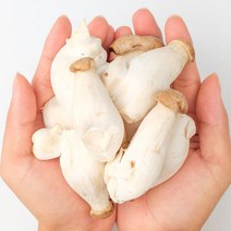 산정마을 국내산 꼬마 새송이버섯, 미니새송이 2kg
