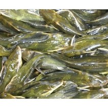 빠가사리 살아있는 1k 동자개 매운탕 가야지, 손질해서