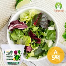 데이밀 자연을담은 샐러드 실속A 100g x 5팩, 드레싱없음