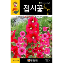 접시꽃 씨앗 30립 / 꽃씨 키우기 화단가꾸기
