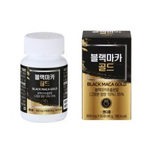 건강한내일 블랙 마카 골드 아르지닌 발효 마늘 추출 분말 L-아르지닌 아연 800mg 2개월분