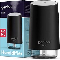 쿨 미스트 초음파 조용한 공기 가습기 자동 습도 조절 야간 조명, 250ML, 블랙