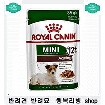 까탈스러운 강아지 입맛증진 필수영양간식 3개 기호성좋은강아지사료 사료추천