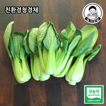 [농사임당] 친환경 무농약 청경채 500g/1kg, 500g