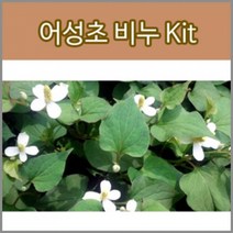 허브플로라 MP 비누만들기 키트, 어성초 비누 키트