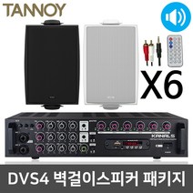 탄노이 DVS4 벽걸이 벽부형 전시장 행사장 스피커 6