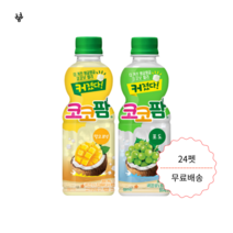 해태 코코팜망고코넛 포도 300ml 24펫, 망고코넛
