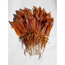 말린푸드마켓 쫄쫄이오징어 몸통 마른 손질 정품 한축 800g, 쫄쫄이오징어 20마리 800g