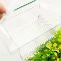 어항 격리통 열대어 구피 부화통 산란통 치어통