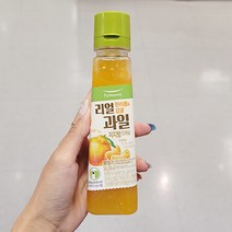 풀무원 한라봉_감귤드레싱 240g x 2개_보냉백포장, 아이스보냉백포장