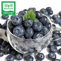 순창쌍치 무농약 블루베리, 1kg, 1개, 1개