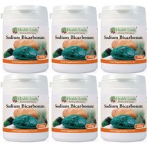 헬스리드 Health Leads UK Sodium Bicarbonate 영국 고흡수 식용 탄산 수소 나트륨 분말 파우더 200g 6병, x, 1개