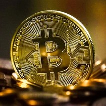 비트코인 기념주화 희귀동전 동전수집 실버 GS01